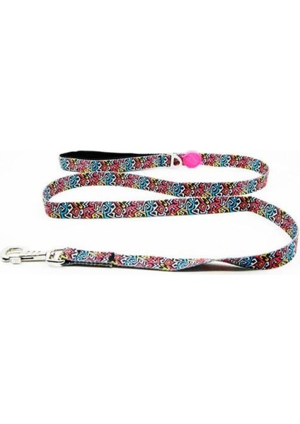 Graffıtı Leash Medıum Gezdirme Tasması
