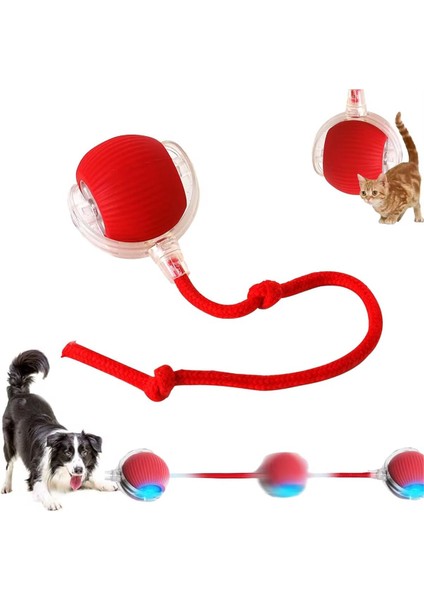 Luxury 360 Kendinden Hareketli Kedi Topu Şarj Edilebilir Kedi Köpek Oyuncağı Kedi Köpek Topu 1 Adet