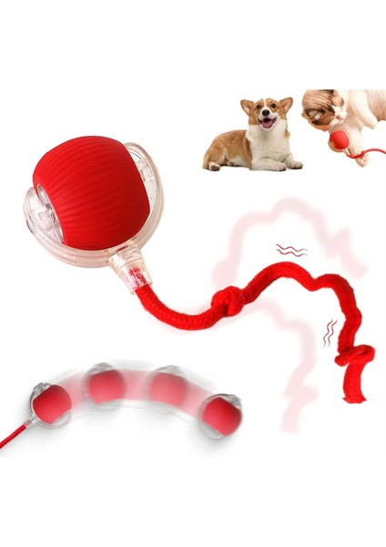 Luxury 360 Kendinden Hareketli Kedi Topu Şarj Edilebilir Kedi Köpek Oyuncağı Kedi Köpek Topu 1 Adet