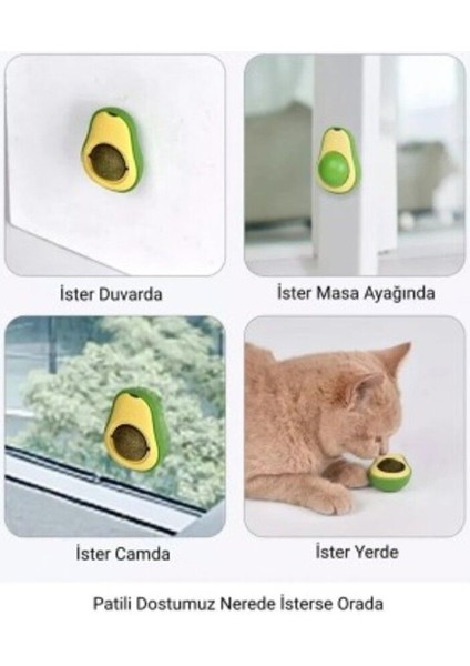 Luxury Avokado Kedi Nanesi Oyun Topu 1 Adet fiyatları