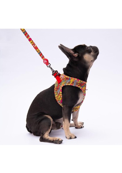 Wow Leash & Air-Mesh Kedi Köpek Tasma ve Gezdirme Kayışı Seti Tasma Seti
