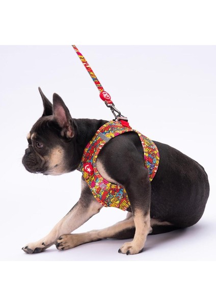 Wow Leash & Air-Mesh Kedi Köpek Tasma ve Gezdirme Kayışı Seti Tasma Seti