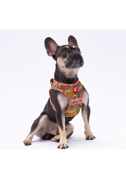 Wow Leash & Air-Mesh Kedi Köpek Tasma ve Gezdirme Kayışı Seti Tasma Seti