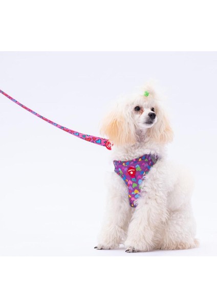 Hearts Leash Kedi Köpek Sevk & Gezdirme Kayışı Köpek Uzatma Tasması