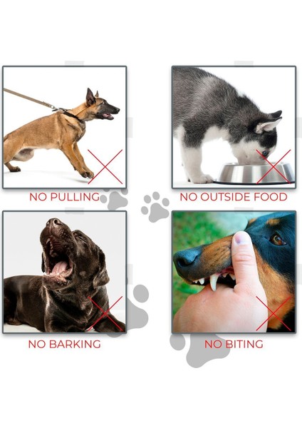 Luxury Renkli Köpek Ağızlığı; Havlama ve Çekiştirme Önleyici; Köpek Ağızlık; Eğitim Tasması 1 Adet fırsatları