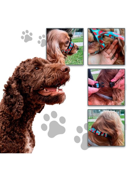 Luxury Renkli Köpek Ağızlığı; Havlama ve Çekiştirme Önleyici; Köpek Ağızlık; Eğitim Tasması 1 Adet indirimleri