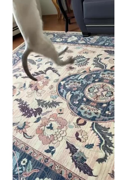 Luxury Jr.fish Sesli, Tüylü Peluş Kedi Oltası 50 cm Kedi Oyuncağı(Kedi Nanesi/otu Içermez)Al.saplı 1 Adet fiyatları