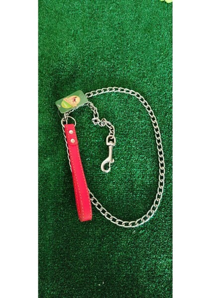 Luxury Köpek Gezdirme Tasması 1 Adet