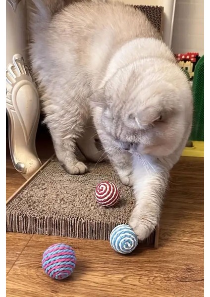 Luxury Kedi Sarma Top 1 Adet 1 Adet