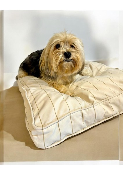 Luxury Stripe Ecru Kedi Köpek Minderi 65 x 65 cm 1 Adet