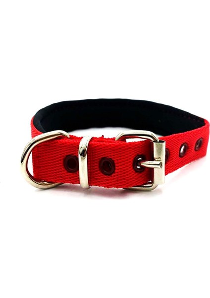 Luxury Kırmızı Yumuşak Dokulu Küçük Irk ve Yavru Kolon Köpek Tasması 1 Adet