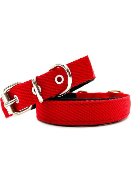 Luxury Kırmızı Yumuşak Dokulu Küçük Irk ve Yavru Kolon Köpek Tasması 1 Adet