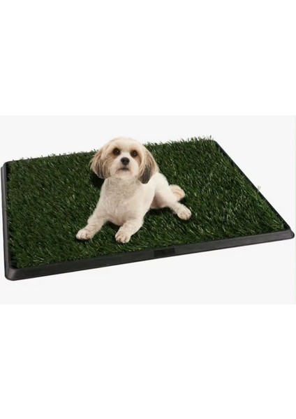 Luxury Yavru Köpek Tuvalet Eğitim Parkı 3 Katmanlı - 45CM x 32 cm 1 Adet