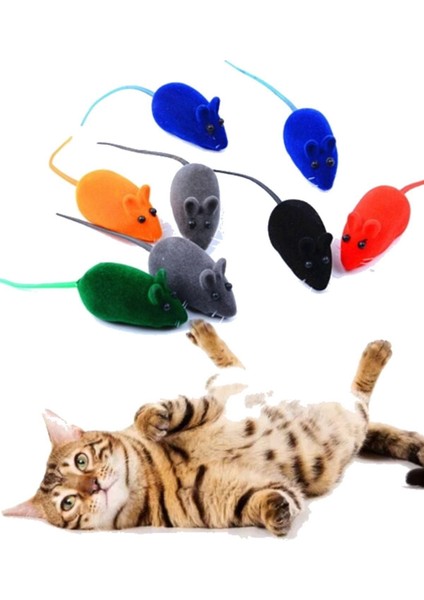 Luxury Kedi Oyuncağı 2 Adet Dikkatini Kolayca Çeken Merak Uyandıran Eğlenceli Eğitim Fareleri Oyuncak Seti 1 Adet