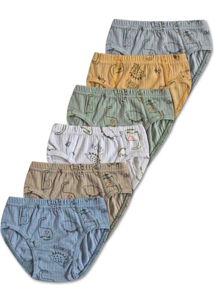 %100 Pamuk Erkek Çocuk Slip Külot Iç Çamaşır 6lı Set