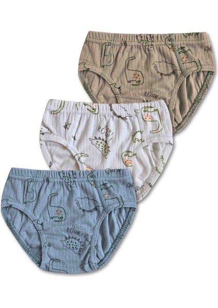 %100 Pamuk Erkek Çocuk Slip Külot Iç Çamaşır 6lı Set