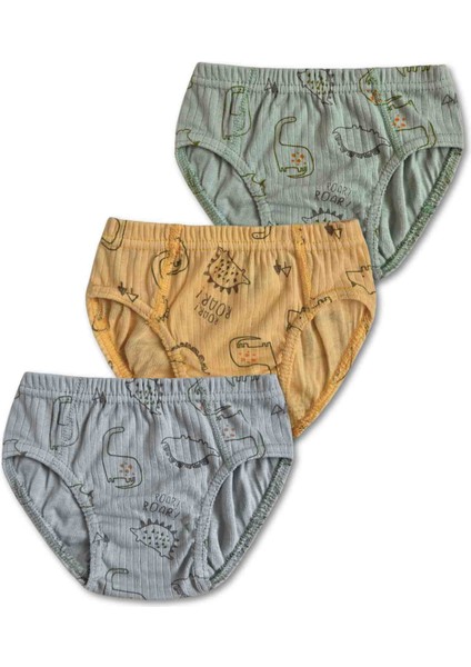 %100 Pamuk Erkek Çocuk Slip Külot Iç Çamaşır 6lı Set