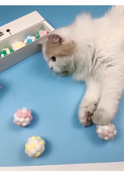 Kedi Oyun Topu Ponponlu ve Kendinden Sesli Kedi Egzersiz Oyuncağı Evcil Hayvan Hareket İçin Oyuncak fiyatları