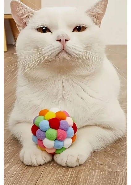 Kedi Oyun Topu Ponponlu ve Kendinden Sesli Kedi Egzersiz Oyuncağı Evcil Hayvan Hareket İçin Oyuncak modelleri