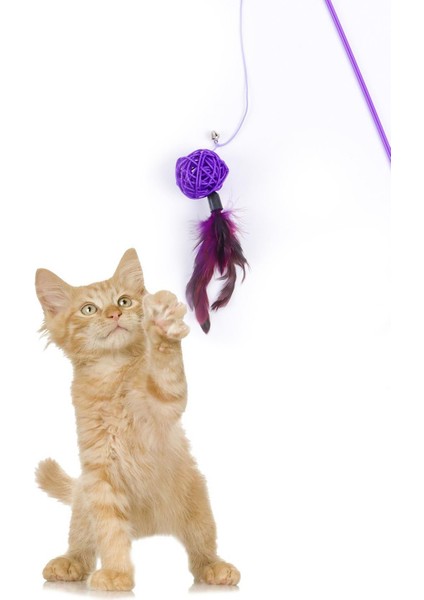 Luxury Tüylü Kedi Oltası, Mor Toplu Kedi Oyun Oltası 1 Adet fiyatları