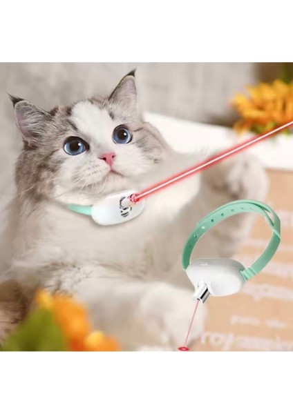 Luxury Şarjlı Lazerli Kedi Tasma Oyuncağı 1 Adet