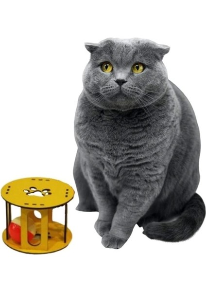 Luxury Ahşap Kafes Renkli Toplu Kedi Patisi Desenli Sesli Kedi Oyuncağı 1 Adet fiyatları