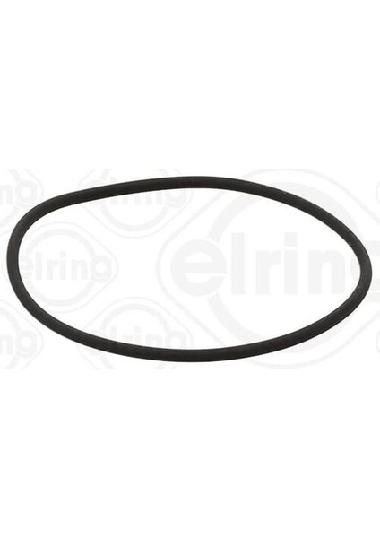 584.630 Oring