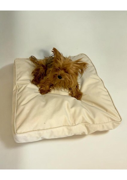 Luxury Mini White Kedi Köpek Minderi 65 x 55 cm 1 Adet