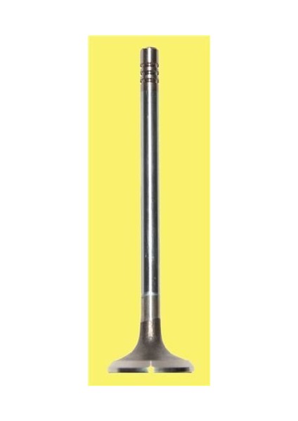 4570-4571 Subap Takımı 206 307 / Fiesta Fusıon 1.4 Hdı DV4TD Eng. 8V