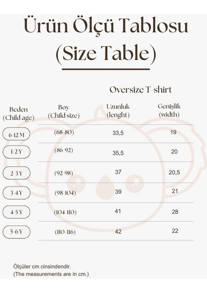Indigo Nakışlı Oversize T-Shirt fırsatları