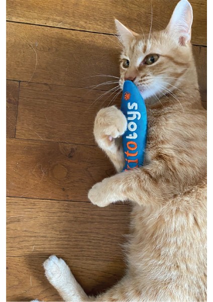 Luxury Toys Balık Peluş Kedi Oyuncağı (Matatabi Içerir) 1 Adet