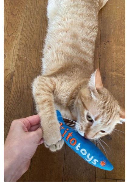 Luxury Toys Balık Peluş Kedi Oyuncağı (Matatabi Içerir) 1 Adet