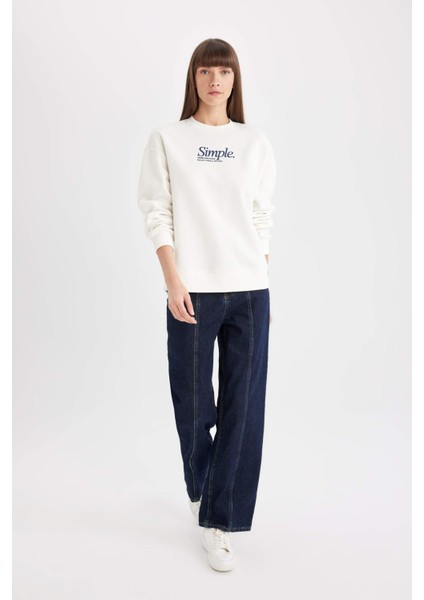 Relax Fit Bisiklet Yaka Baskılı Kalın Sweatshirt D3134AX24WN fiyatları