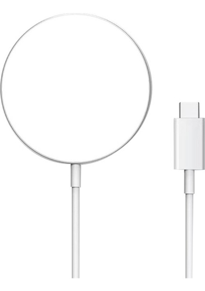 iPhone Type-C Hızlı Kablosuz Şarj Cihazı Için 15W Manyetik Kablosuz Şarj Cihazı (Yurt Dışından)