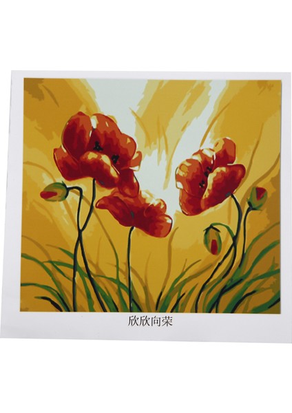 Dijital Boyama Çiçek Dıy Boyama Kitleri Tuval Yağlı Boya 40X50CM (Yurt Dışından) fırsatları