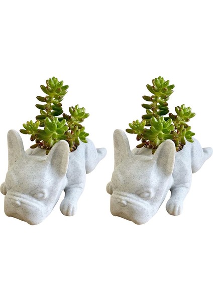 Bulldog Şekilli Reçine Sukulent Saksı Mini Yavrular Bitki Saksısı (Yurt Dışından)