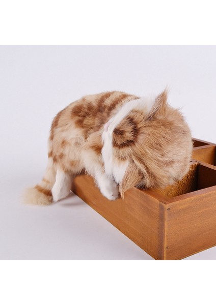 Yaratıcı Simülasyon Kedi Sevimli Terlik Yavru Kedi Bebek Oyuncakları Araba Dekor (Yurt Dışından) fırsatları