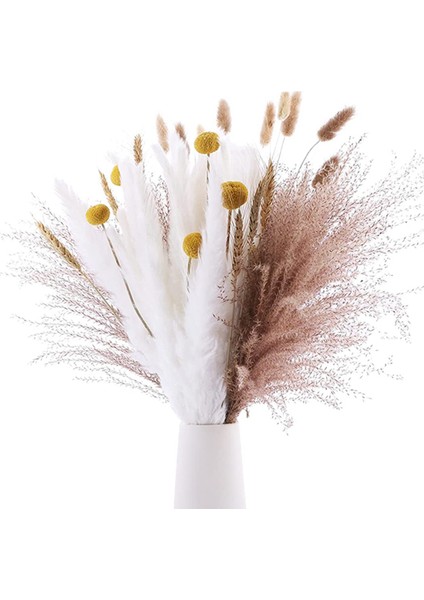 70 Adet Doğal Kurutulmuş Pampas Otu Buketi-17.7 Inç/45 cm Ev Dekorasyonu Için (Yurt Dışından)