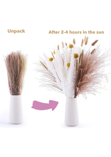 70 Adet Doğal Kurutulmuş Pampas Otu Buketi-17.7 Inç/45 cm Ev Dekorasyonu Için (Yurt Dışından) modelleri