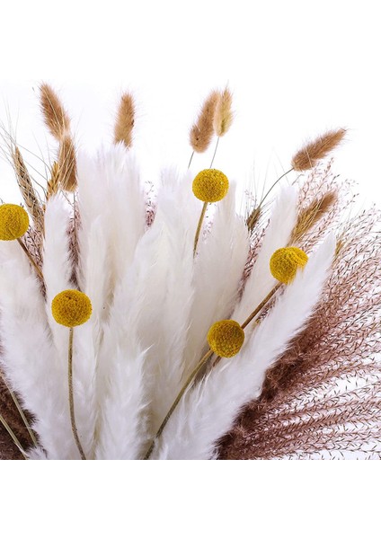 70 Adet Doğal Kurutulmuş Pampas Otu Buketi-17.7 Inç/45 cm Ev Dekorasyonu Için (Yurt Dışından) indirimleri