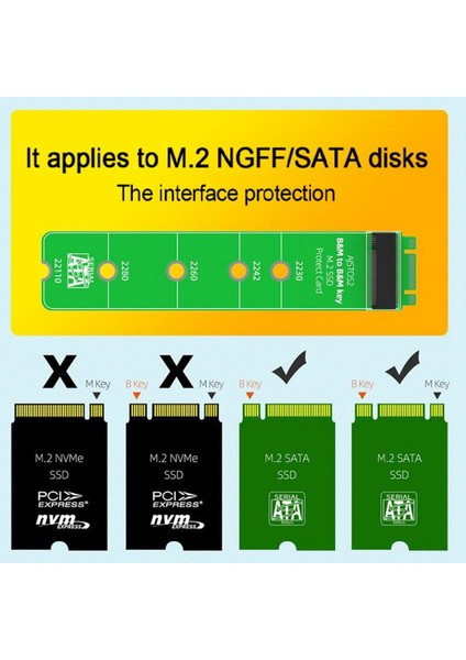 M.2 SSD Adaptör Kartı Test Koruyucu Kartı B+M Anahtarı Sata Ngff Uzantısı (Yurt Dışından)