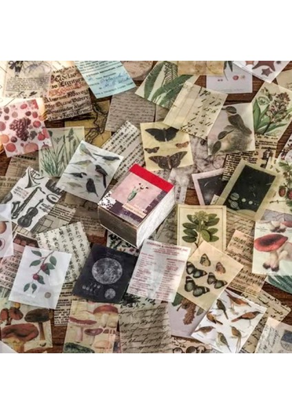 Vintage Dıy Scrapbooking Günlük Malzemeleri Bitki Hayvan Kelebek (Yurt Dışından) fırsatları