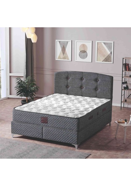 Samba Herkül Yaylı Ortopedik 28 cm Yükselikte Çift Kişilik Yatak fırsatları