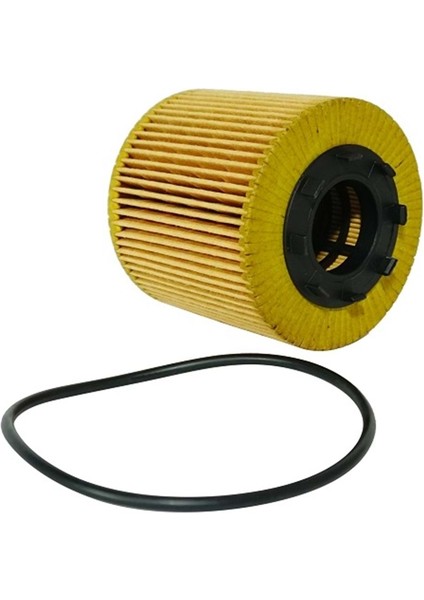 Yağ Filtresi Master Iı 2.2 Dci, Movano Iı 2.2 Dtı, Trafic, Vivaro, Laguna 2.2 Dcı, 2.5dcı (G9T-G9U)