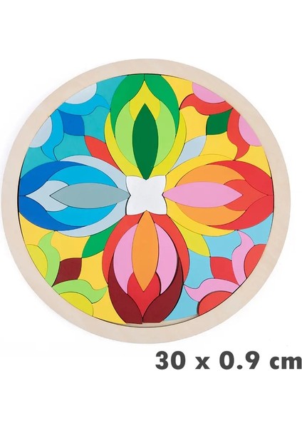 Çocuklar Montessori Gökkuşağı Ahşap Bulmaca Oyuncaklar Sanat Eğitim Geometrik Yapılak Yapay Yetiştirme Eğitimi Mandala Bloklar Oyuncaklar Beyin Gamescolor: NB310C1 (Yurt Dışından)