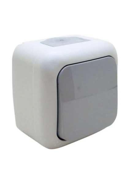 IP44 Sıva Üstü Anahtar Nemli Ortamlar Için Suya Dayanıklı