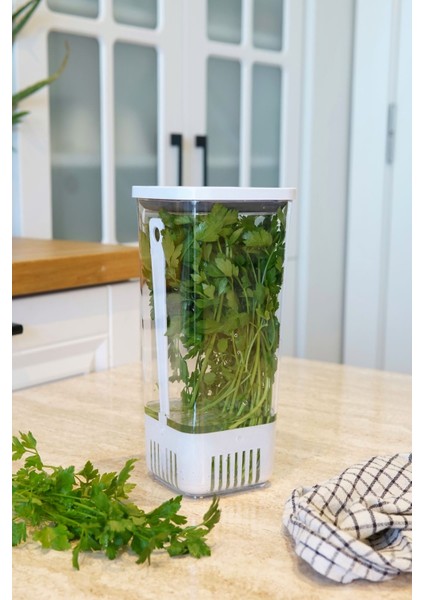 Yeşillik Saklama Kabı 1700 ml
