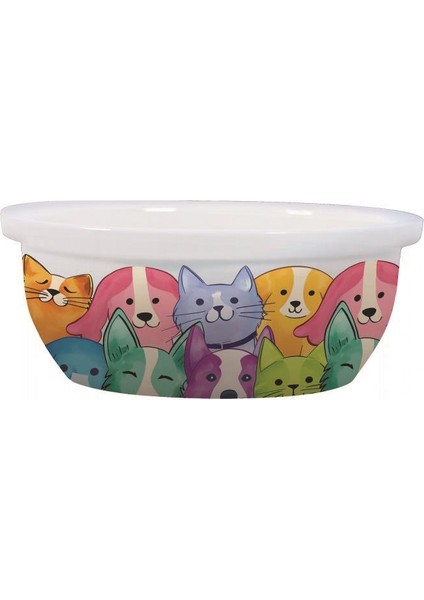 Petjoy Feedme Bowl Seramik Mama Kabı Mix Color 300 ml modelleri
