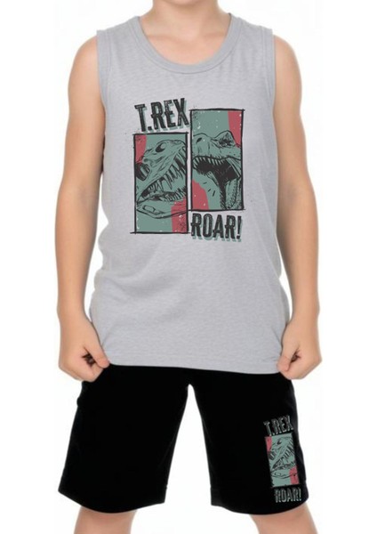 Erkek Çocuk Baskılı Sıfır Kol Trex Roar Alt-Üst Takım modelleri