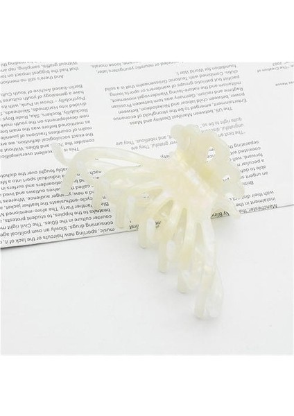 Asetik Asit Tabak Saç Klipsi, Kız Retro Klasik Tatlı Saç Klibi (Yurt Dışından) fiyatları